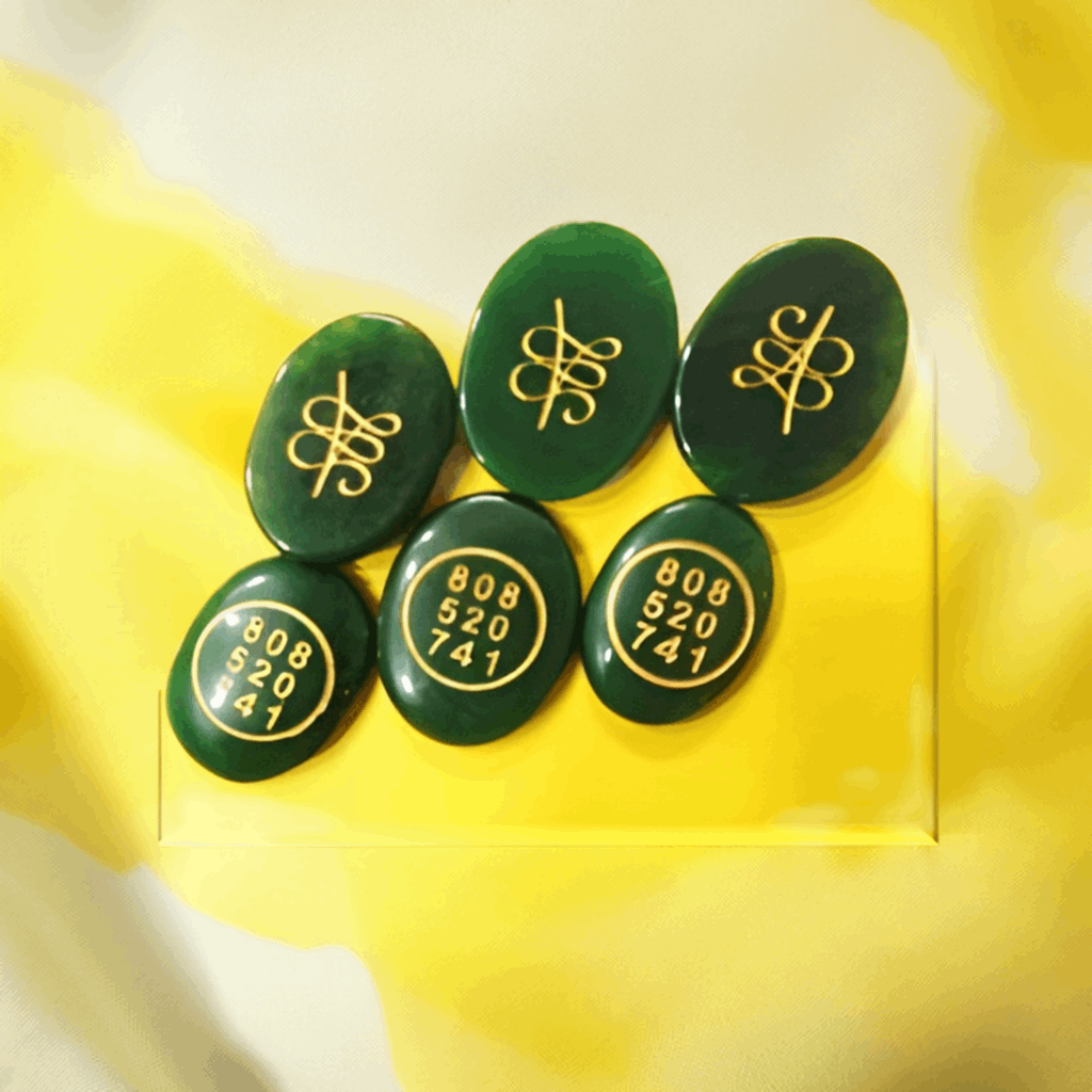 Zibu Symbol Money Coins