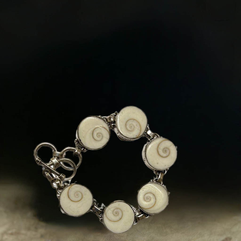 Gomti Chakra Bracelet with Silver chain for Wealth & Prosperity